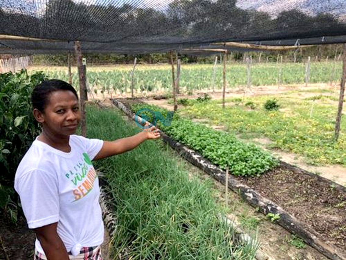 Governo do Piauí fecha projeto com Banco Mundial que beneficia 24 mil agricultores familiares